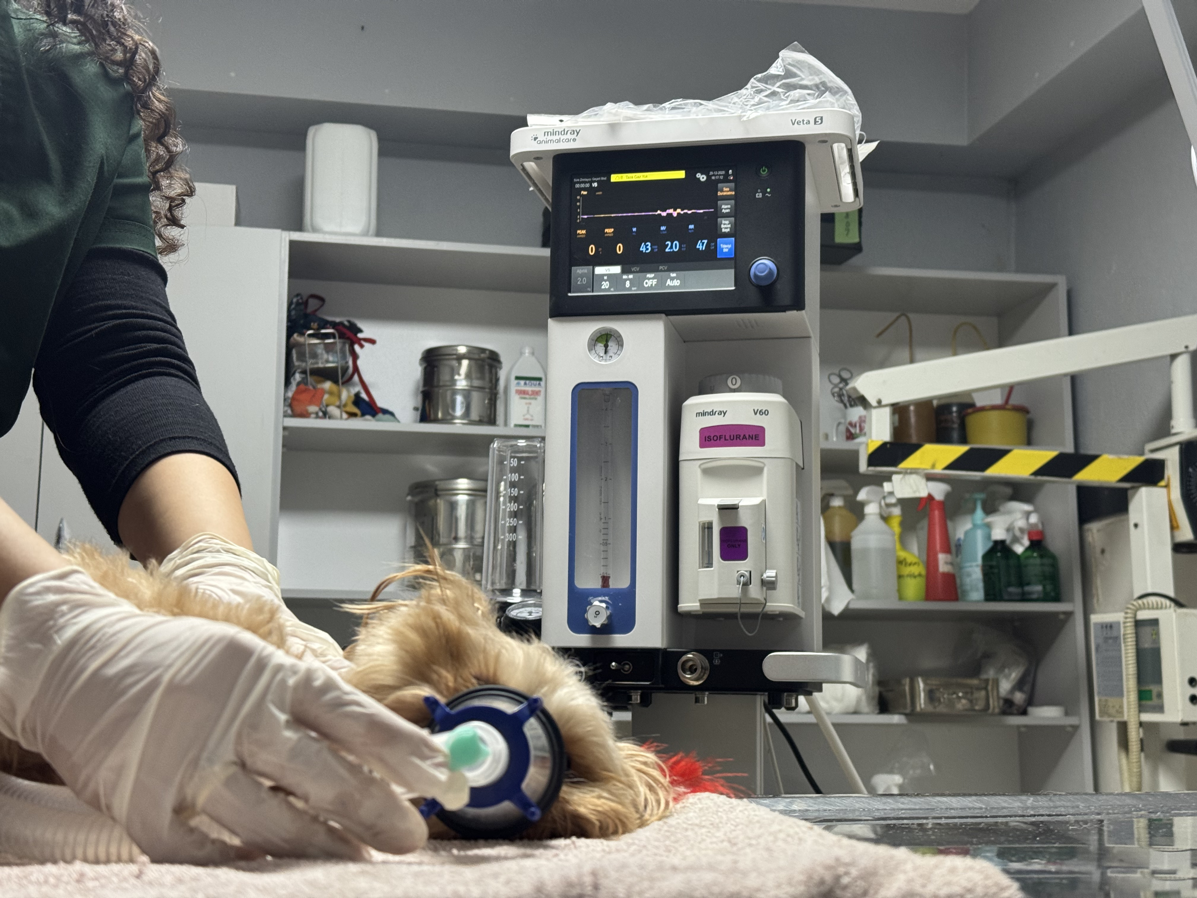 Kapalı Sistem (Gaz) Anestezi